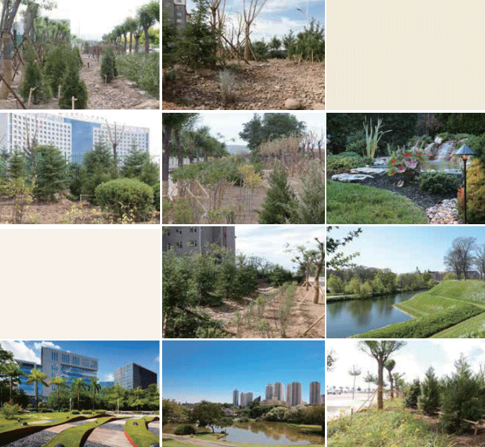 北京都潤生態(tài)環(huán)境工程有限公司-海綿城市建設(shè)-固原市西南新區(qū)綠化與海綿城市工程