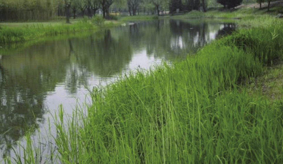 北京都潤生態(tài)環(huán)境工程有限公司-小流域治理-永定河灌渠治理工程