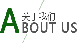 組織架構(gòu)