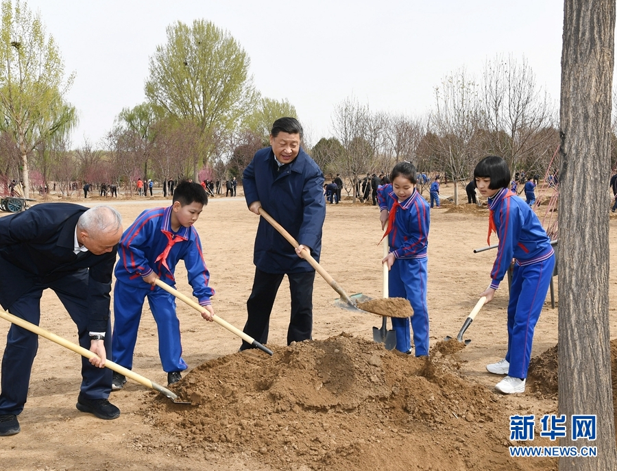 習(xí)近平：推動國土綠化不斷取得實實在在的成效