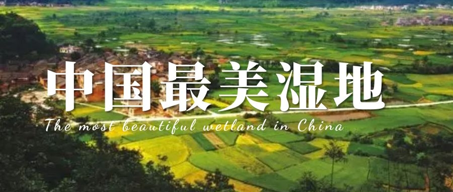 奇聞科普 | 中國最美濕地，你的家鄉(xiāng)上榜了嗎？