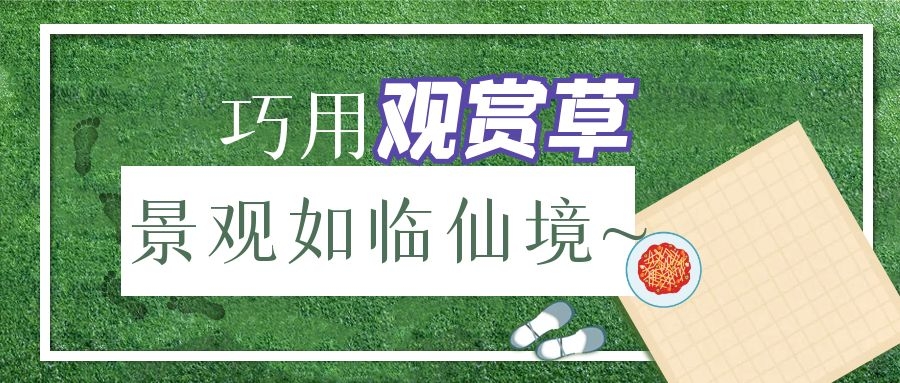 巧用觀賞草，景觀如臨仙境~